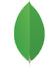 mangodb