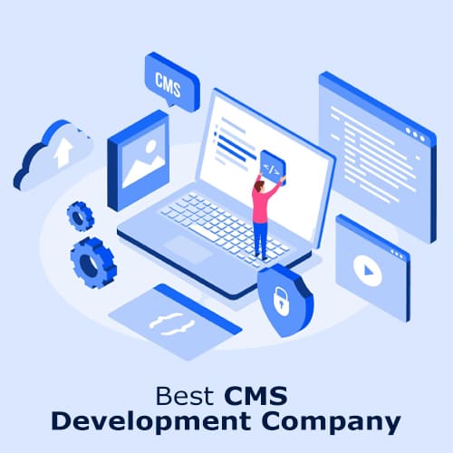 CMS Development Agency in Delhi