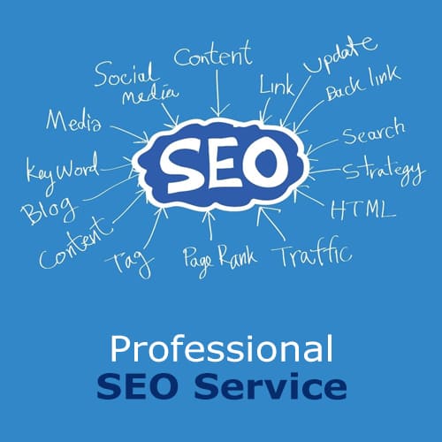 SEO Services Company in Delhi